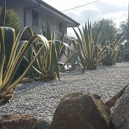 Agave アパート
